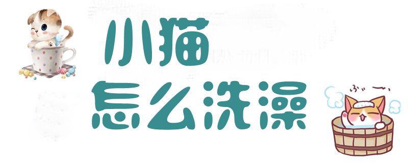 小猫怎么洗澡1