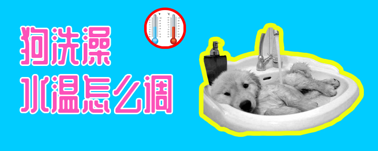 狗洗澡水温怎么调