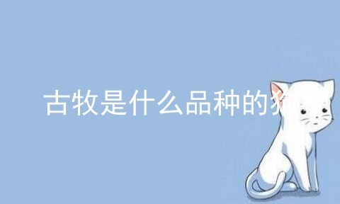 古牧狗 第1张