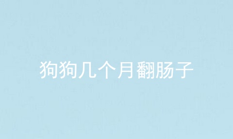 小狗翻肠子