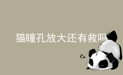 瞳孔放大还有救吗 第1张
