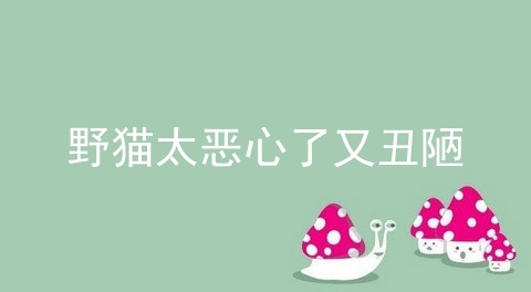 你的世界星光如初 第1张