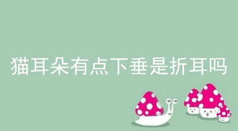 有耳
