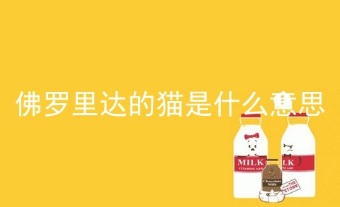 佛罗里达的猫