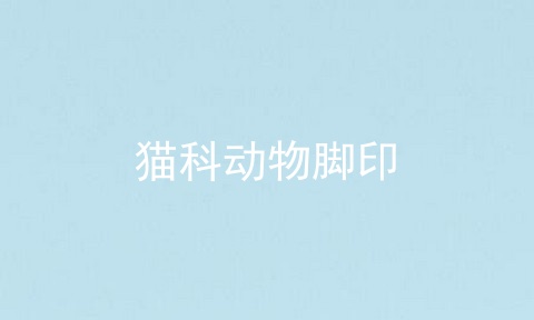 猫的脚印图片 第1张