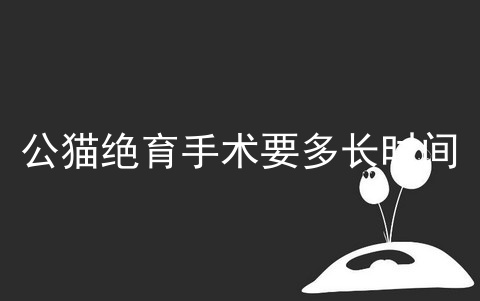 公猫绝育手术