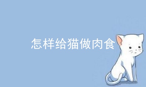 肉食系ip猫 第1张