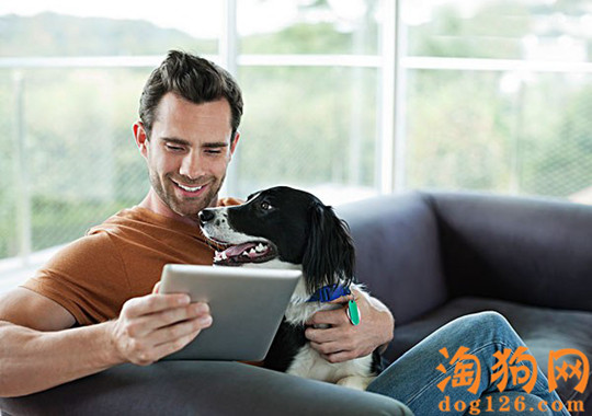 边牧幼犬刚接回家，一定不能吃这些东西！ 第1张