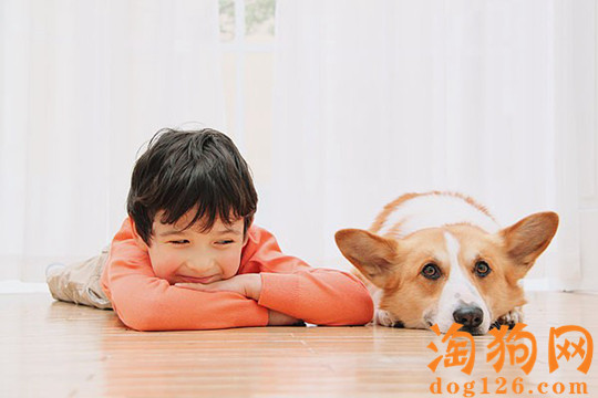打狂犬疫苗的误区在哪？ 第1张