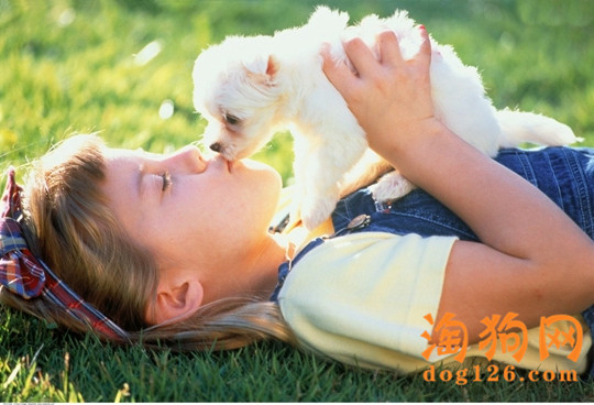 狗狗为什么出现吃草的现象 第2张