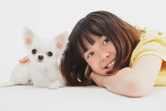 吉娃娃犬好养吗? 第2张