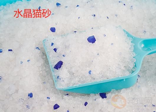 猫砂是什么材料做的 第2张
