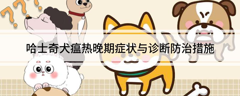 哈士奇犬瘟热晚期症状与诊断防治措施 第1张
